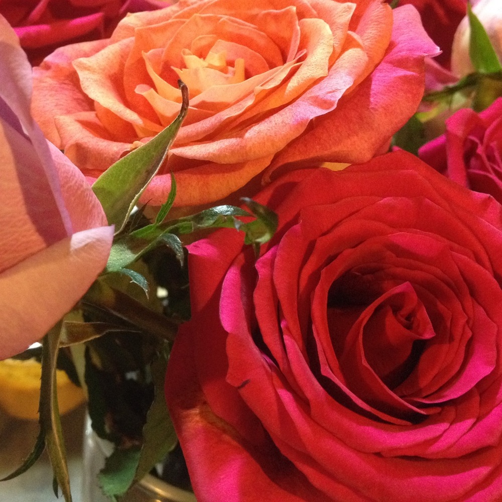 Meet your Posher, Janice